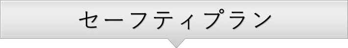 セーフティプラン